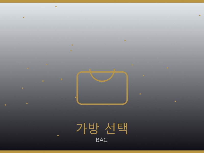 베이프 레플리카 사이트 가방 선택 가이드